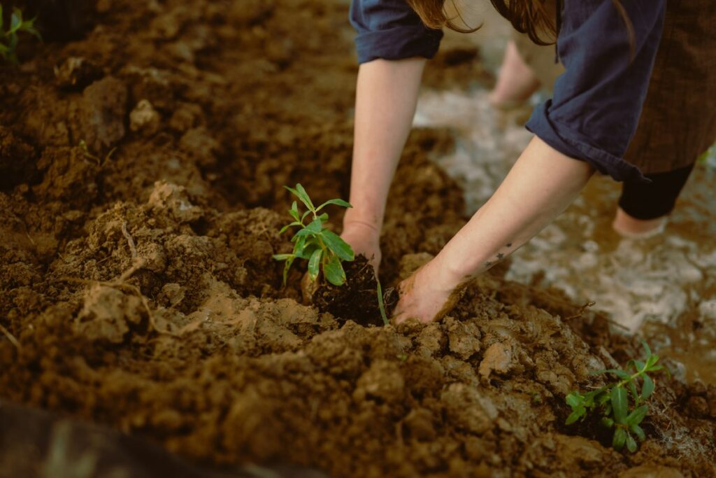 Lifestyle photo representing growth